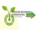 Precise Business Consulting