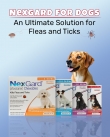 Nexgard-for-Dogs-An-Ultimate-Solution-for-Fleas-and-Ticks